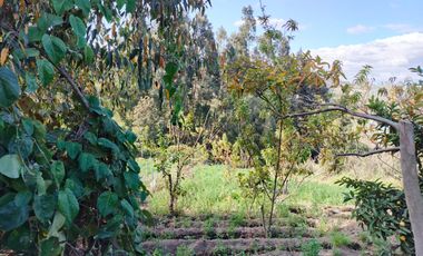 TERRENO EN VENTA EN PINLLO. PARA NEGOCIO O VIVIENDA. AMBATO