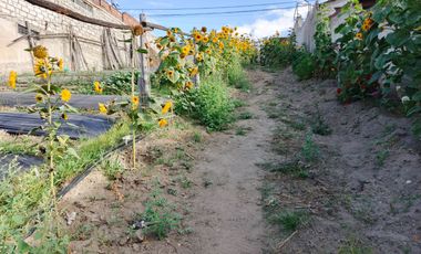 TERRENO EN VENTA EN PINLLO. PARA NEGOCIO O VIVIENDA. AMBATO