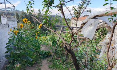 TERRENO EN VENTA EN PINLLO. PARA NEGOCIO O VIVIENDA. AMBATO