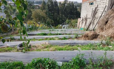 TERRENO EN VENTA EN PINLLO. PARA NEGOCIO O VIVIENDA. AMBATO