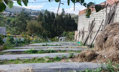 TERRENO EN VENTA EN PINLLO. PARA NEGOCIO O VIVIENDA. AMBATO