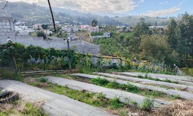 TERRENO EN VENTA EN PINLLO. PARA NEGOCIO O VIVIENDA. AMBATO