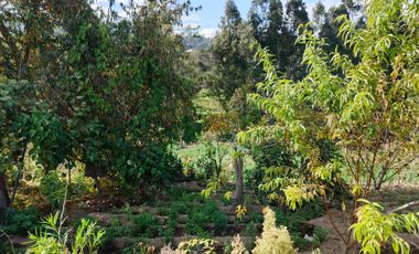 TERRENO EN VENTA EN PINLLO. PARA NEGOCIO O VIVIENDA. AMBATO