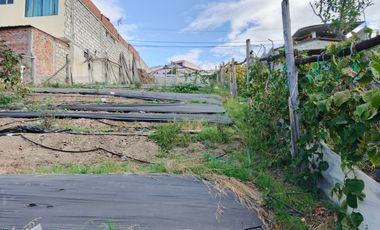 TERRENO EN VENTA EN PINLLO. PARA NEGOCIO O VIVIENDA. AMBATO