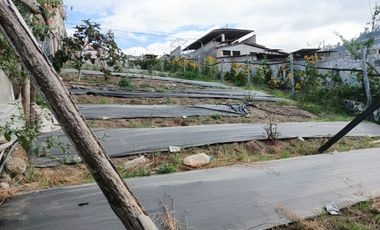 TERRENO EN VENTA EN PINLLO. PARA NEGOCIO O VIVIENDA. AMBATO