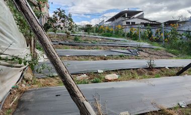TERRENO EN VENTA EN PINLLO. PARA NEGOCIO O VIVIENDA. AMBATO