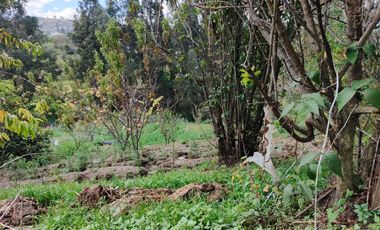 TERRENO EN VENTA EN PINLLO. PARA NEGOCIO O VIVIENDA. AMBATO