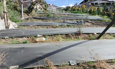 TERRENO EN VENTA EN PINLLO. PARA NEGOCIO O VIVIENDA. AMBATO