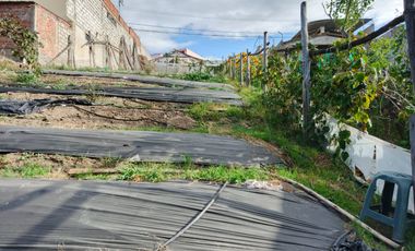 TERRENO EN VENTA EN PINLLO. PARA NEGOCIO O VIVIENDA. AMBATO