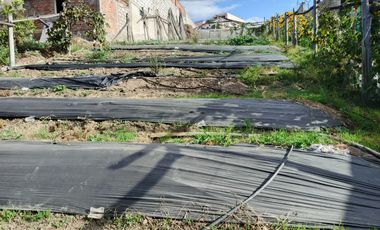 TERRENO EN VENTA EN PINLLO. PARA NEGOCIO O VIVIENDA. AMBATO