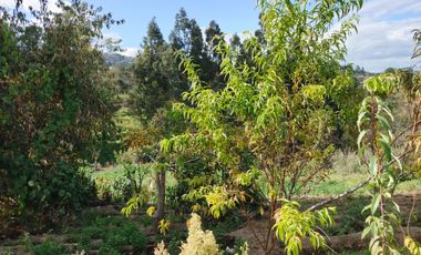 TERRENO EN VENTA EN PINLLO. PARA NEGOCIO O VIVIENDA. AMBATO
