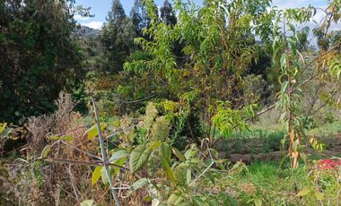 TERRENO EN VENTA EN PINLLO. PARA NEGOCIO O VIVIENDA. AMBATO
