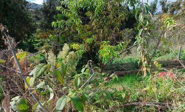 TERRENO EN VENTA EN PINLLO. PARA NEGOCIO O VIVIENDA. AMBATO