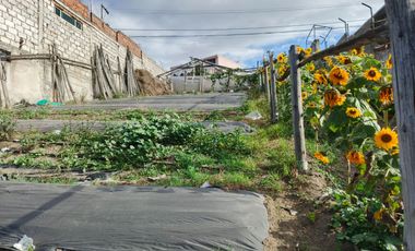 TERRENO EN VENTA EN PINLLO. PARA NEGOCIO O VIVIENDA. AMBATO