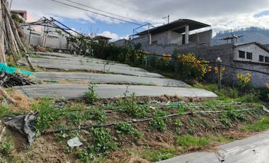 TERRENO EN VENTA EN PINLLO. PARA NEGOCIO O VIVIENDA. AMBATO