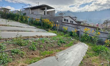 TERRENO EN VENTA EN PINLLO. PARA NEGOCIO O VIVIENDA. AMBATO