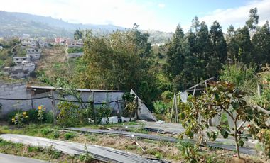 TERRENO EN VENTA EN PINLLO. PARA NEGOCIO O VIVIENDA. AMBATO