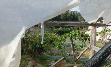 TERRENO EN VENTA EN PINLLO. PARA NEGOCIO O VIVIENDA. AMBATO