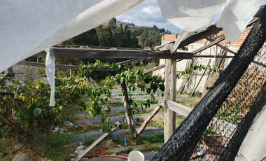 TERRENO EN VENTA EN PINLLO. PARA NEGOCIO O VIVIENDA. AMBATO