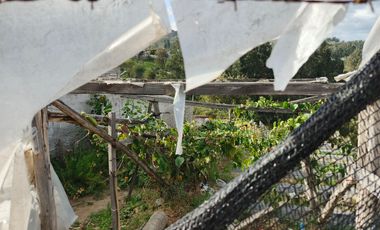 TERRENO EN VENTA EN PINLLO. PARA NEGOCIO O VIVIENDA. AMBATO