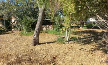 Quilpué, Belloto. Quinta urbana ideal para explotación turística