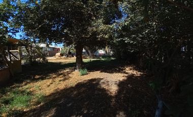 Quilpué, Belloto. Quinta urbana ideal para explotación turística