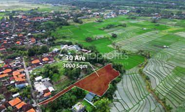 Exclusive Freehold Land in Tanah Lot: Ideal for Luxury Villa Development