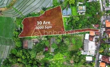 Exclusive Freehold Land in Tanah Lot: Ideal for Luxury Villa Development