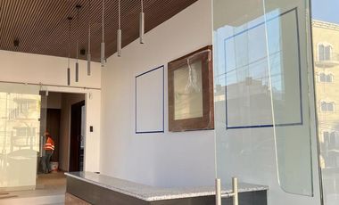 Departamento nuevo en renta sobre Avenida León