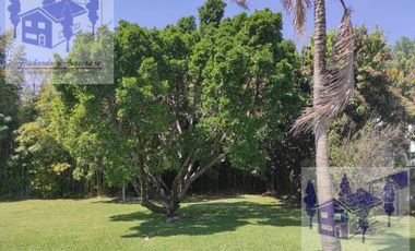 Jiutepec Morelos se vende casa de un Nivel con 4 Recamaras