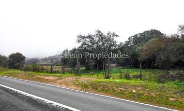 Leon Propiedades vende 43.4 ha. de terreno en Alhué, Curacaví.