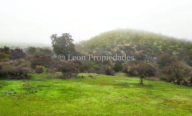 Leon Propiedades vende 43.4 ha. de terreno en Alhué, Curacaví.