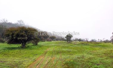 Leon Propiedades vende 43.4 ha. de terreno en Alhué, Curacaví.