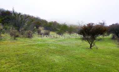 Leon Propiedades vende 43.4 ha. de terreno en Alhué, Curacaví.
