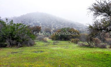 Leon Propiedades vende 43.4 ha. de terreno en Alhué, Curacaví.
