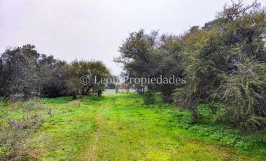 Leon Propiedades vende 43.4 ha. de terreno en Alhué, Curacaví.