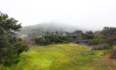 Leon Propiedades vende 43.4 ha. de terreno en Alhué, Curacaví.