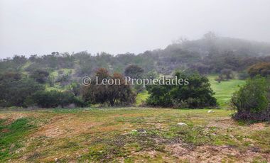 Leon Propiedades vende 43.4 ha. de terreno en Alhué, Curacaví.