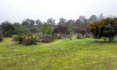Leon Propiedades vende 43.4 ha. de terreno en Alhué, Curacaví.