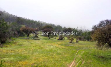 Leon Propiedades vende 43.4 ha. de terreno en Alhué, Curacaví.
