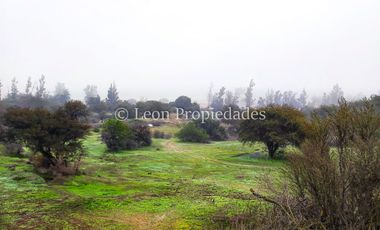 Leon Propiedades vende 43.4 ha. de terreno en Alhué, Curacaví.