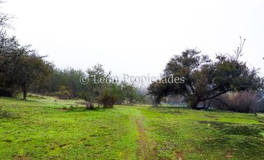 Leon Propiedades vende 43.4 ha. de terreno en Alhué, Curacaví.