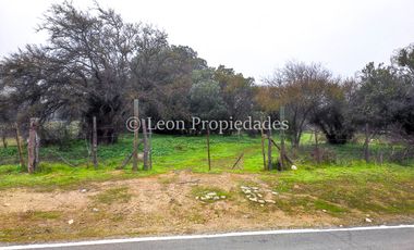 Leon Propiedades vende 43.4 ha. de terreno en Alhué, Curacaví.