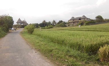 Land 5180 Sqm Beach Front In Tabanan