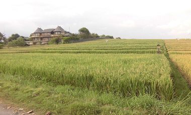 Land 5180 Sqm Beach Front In Tabanan
