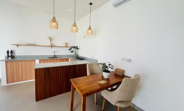 Brand New Two-Bedroom Villas with Ricefield View for Rental in Cemagi