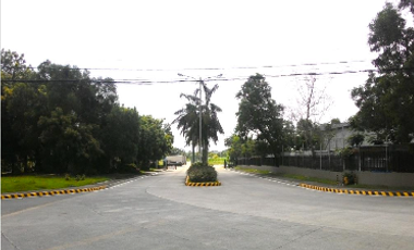 Industrial Lot for Lease at Greenfield Auto Park Santa Rosa Laguna