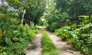 TERRENO EN VENTA LAGARTERA
