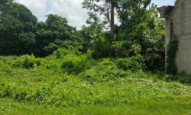 TERRENO EN VENTA LAGARTERA