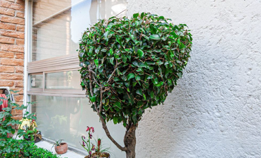 Casa en venta en Puerta Grande Álvaro Obregón CDMX